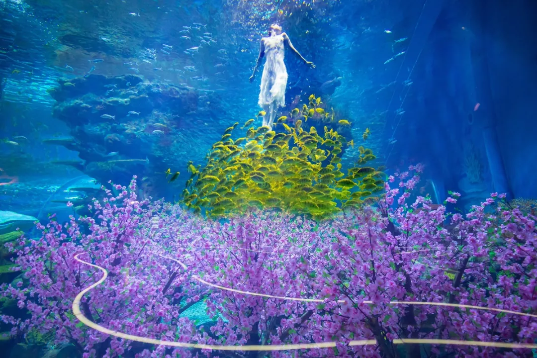 2019上海海昌海洋公园清明节游玩攻略 | 夜场开启 
