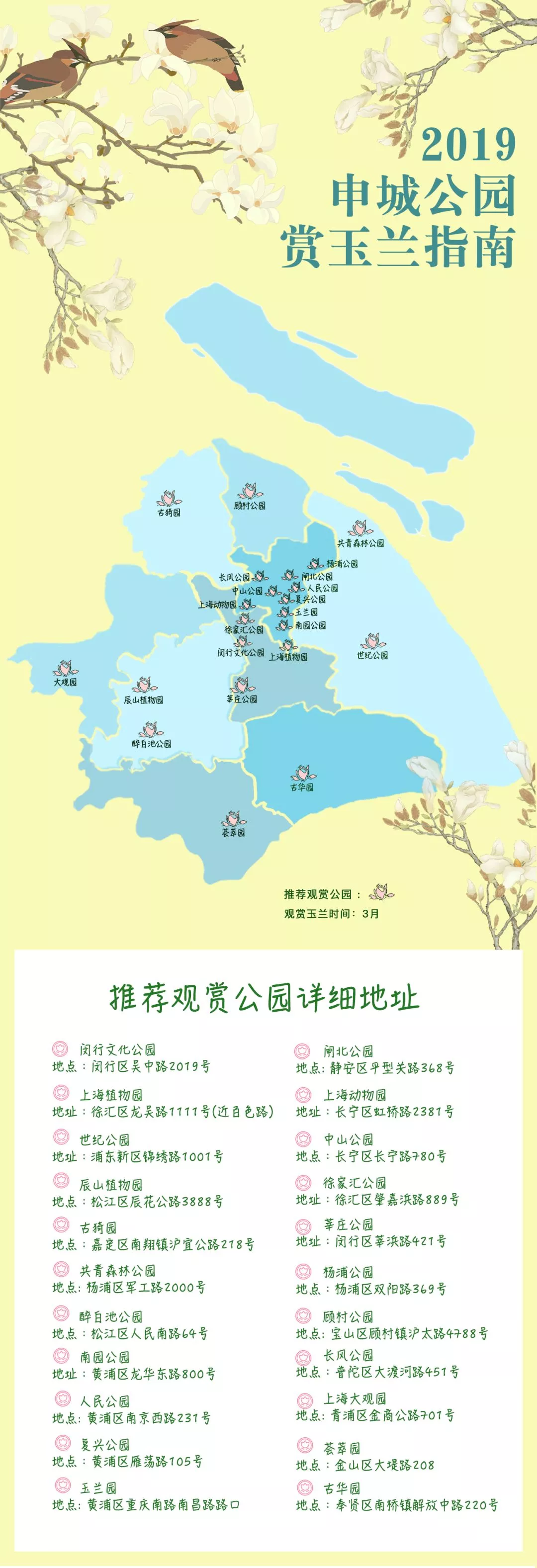 2019上海公园赏玉兰指南 最佳观赏期到来