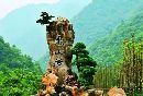 2024重庆万盛中国旅游日免费景区一览