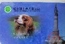 哈尔滨狗证办理流程