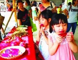 佛山周边采摘火龙果好去处