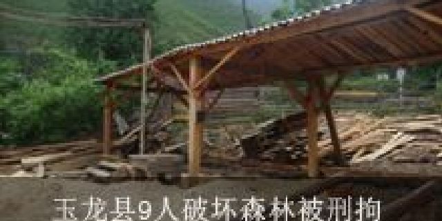 林业严打整治行动 玉龙县9人破坏