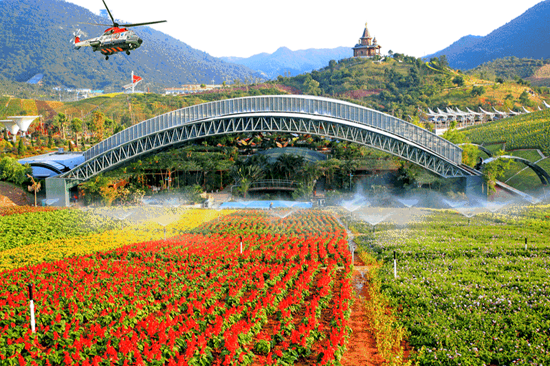 2, 直升机大巡游