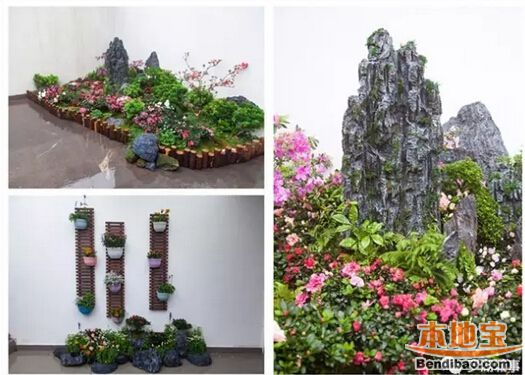 2017梧桐山杜鹃花开 这份赏花游玩攻略必不可少