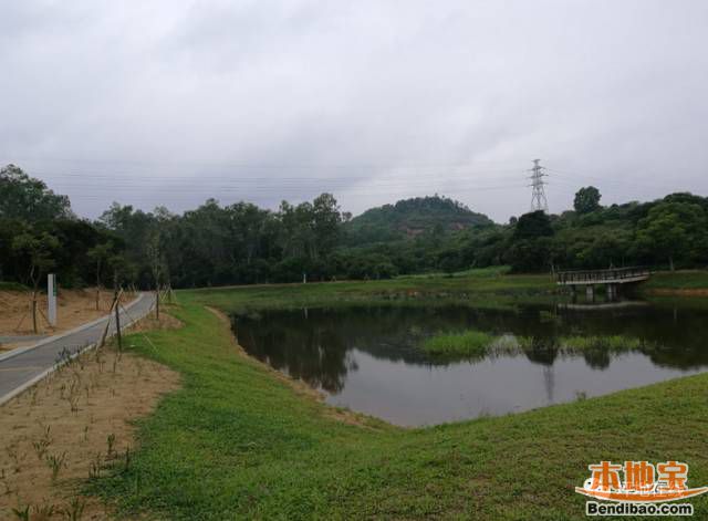 坪地香沙湿地公园地址,图片及看点