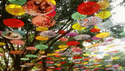 观澜湖油纸伞风情旅游节门票特惠