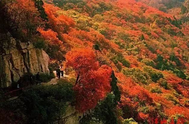 从化石门国家森林公园