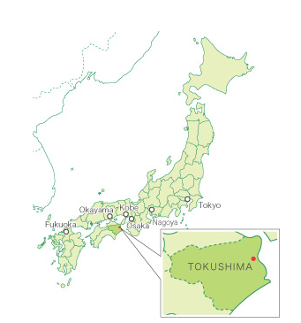 日本德岛县旅游攻略 地理位置,怎么去及景点推荐图片
