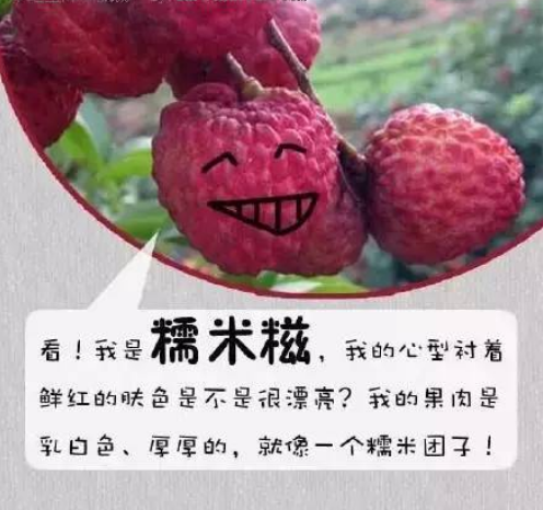 荔枝游玩攻略,荔枝游玩攻略大全