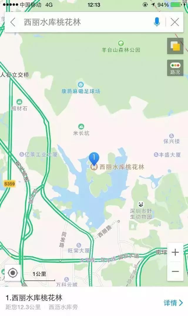 南山甜桃上市(采摘时间 价格 地点 怎么去)