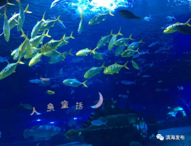 2018年天津端午活动汇总(持续更新)