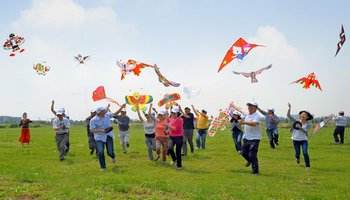 2017潍坊国际风筝会(参赛情况 特点)