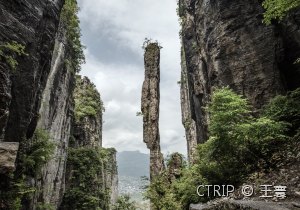 十一国庆旅游去哪里最合适，武汉湖北周边景点推荐，湖北景点排行榜前十名这些好玩的地方你必须去(图3)