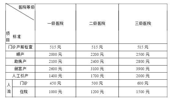 2019武汉生育医疗费支付标准