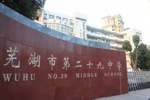 2018芜湖中小学排名