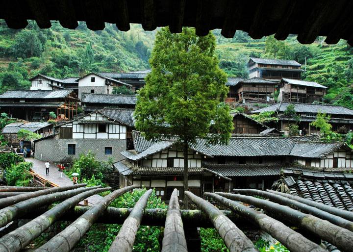 林坑村人口_人口普查图片(3)