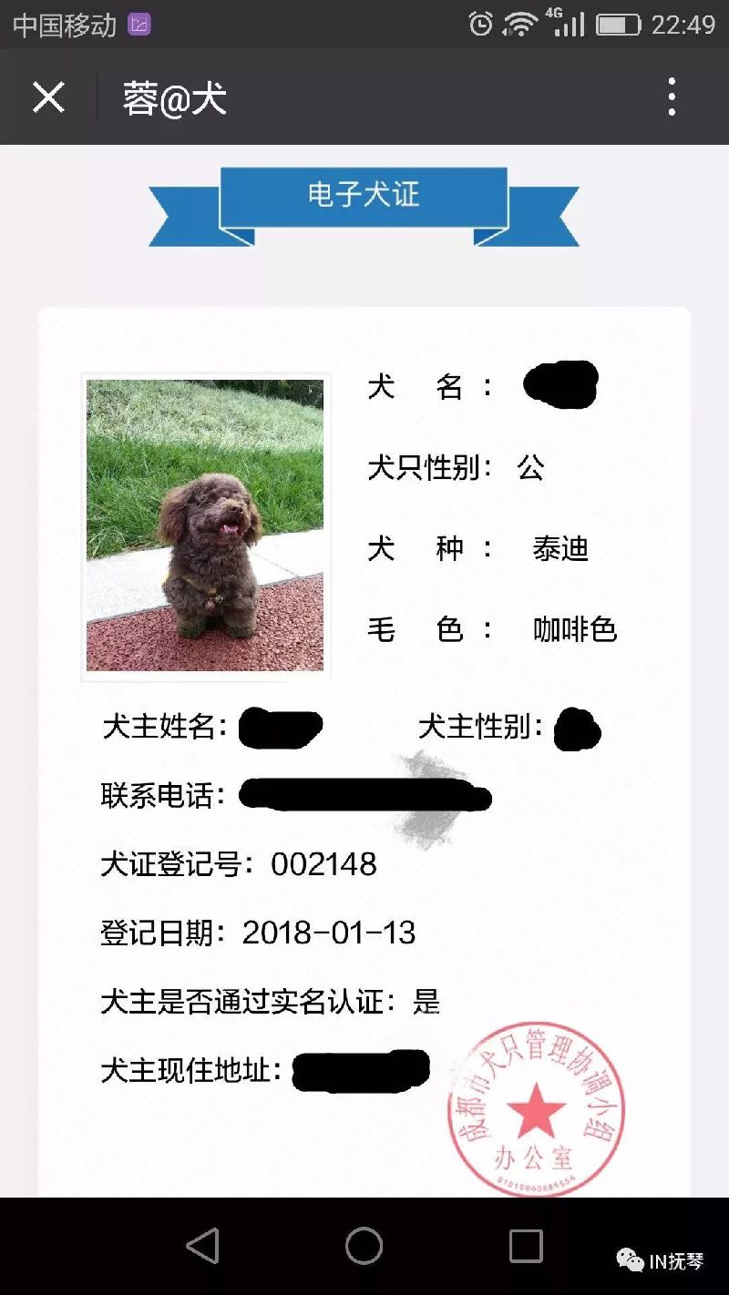 成都电子犬证网上办理指南附操作流程