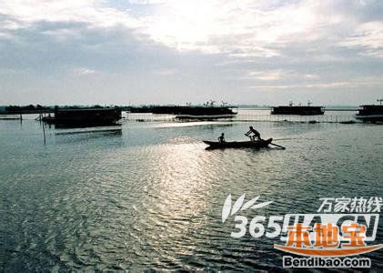 焦岗湖景区