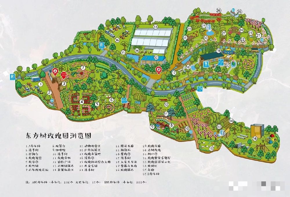 惠州东方树玫瑰园五一游玩介绍