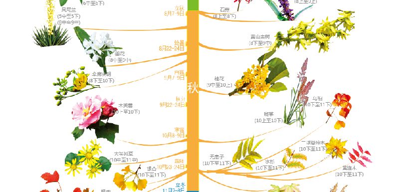 各种花的开放时间图片