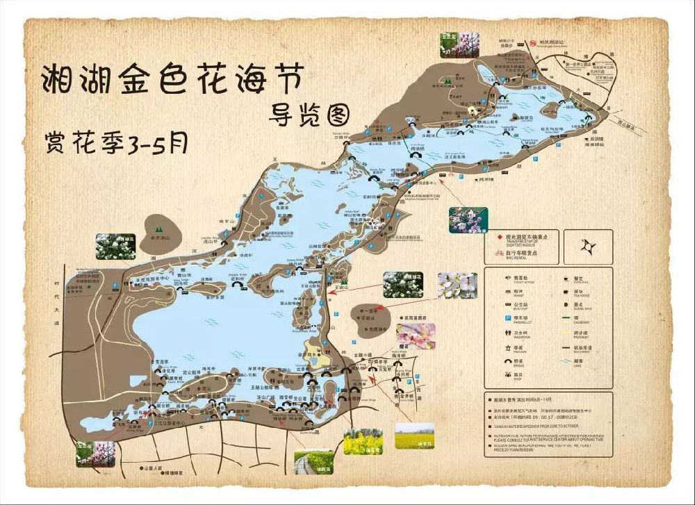 2019湘湖金色花海节时间地点