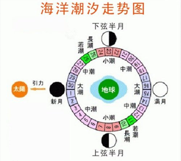 图文解读海钓的潮汐规律掌握海钓最好时机