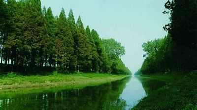 潛江旅遊 旅遊情報 > 潛江森林公園 潛江森林公園位於南城區楊市