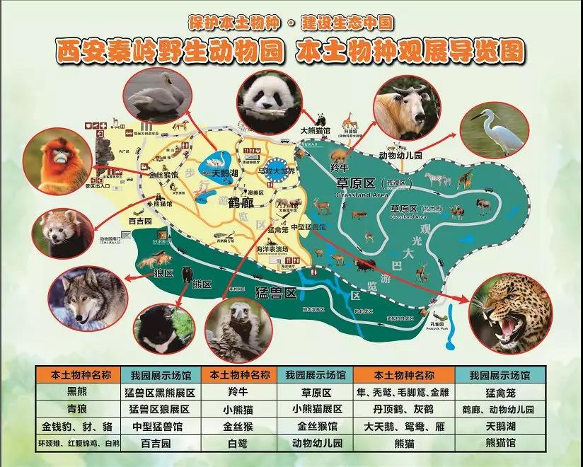 秦岭动物园地图导游图图片