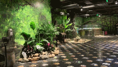 2019元旦湖里万达室内动物园活动 2019元旦湖里万达室内动物园活动