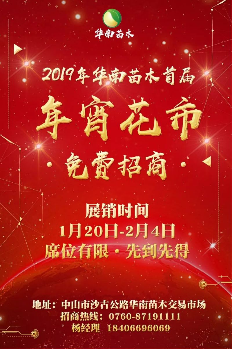 2019中山华南迎春花市攻略(时间 地点)